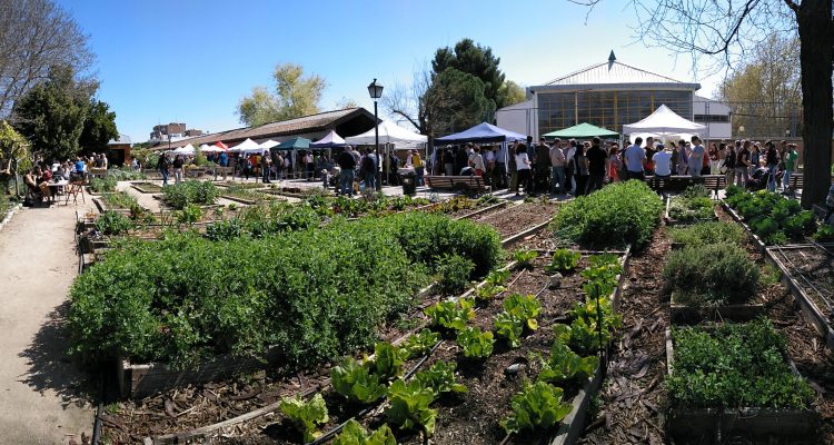 Fiesta de la Semilla