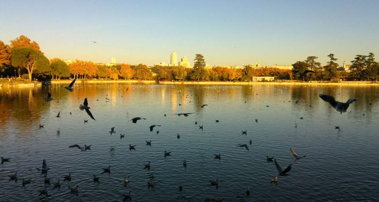 Secretos del lago de la Casa de Campo