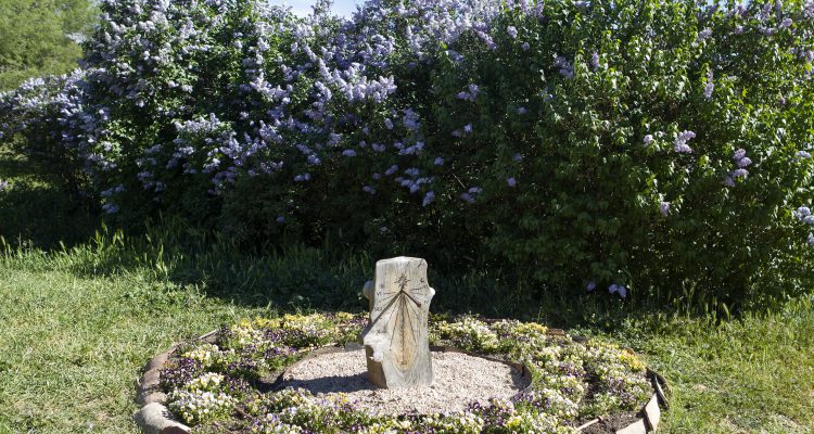 Floración en Torre Arias