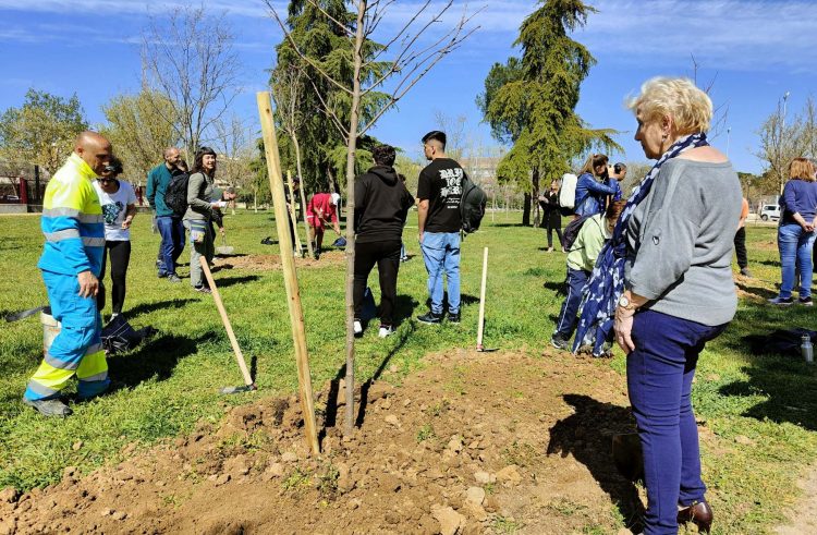 Plantación en el parque de Las Cruces