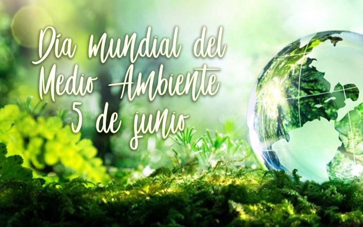 Dia del Medio Ambiente