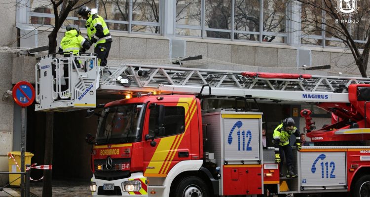 Intervención de bomberos en arbolado