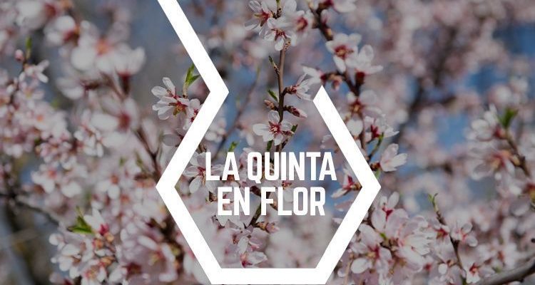 La Quinta en flor