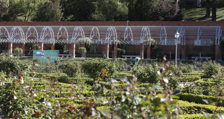 Imagen de la restauración de las pérgolas de la Rosaleda