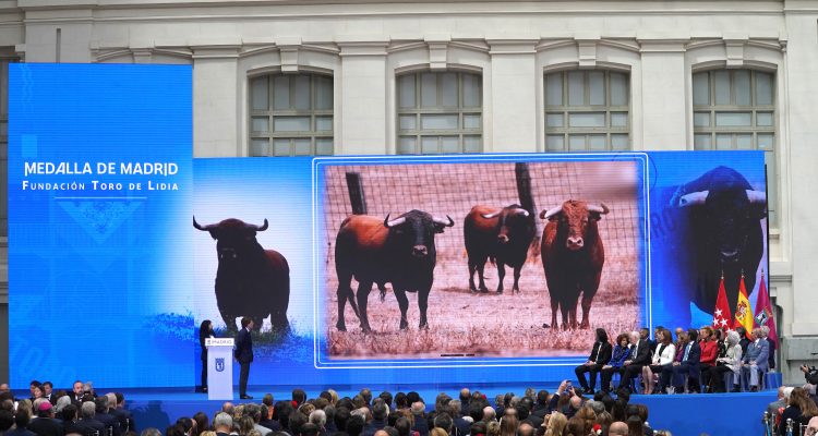 Fundación toro de lidia