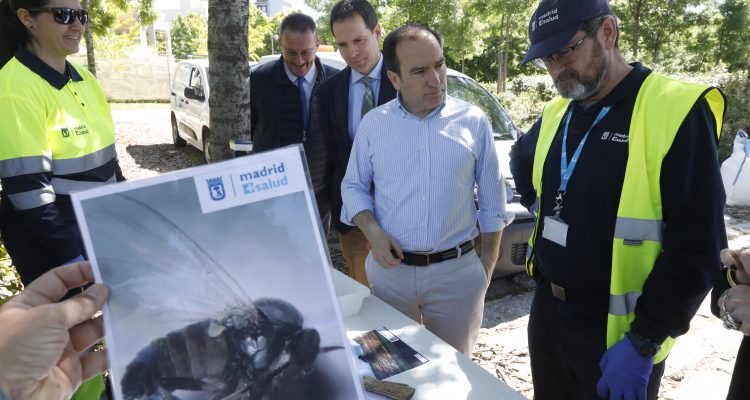 Carabante supervisa las actuaciones contra la mosca negra en el río Manzanares