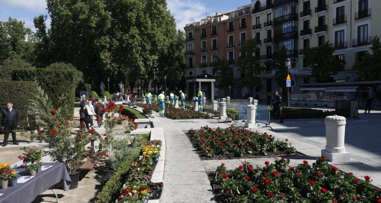 Plantación de flores de la temporada primavera-verano en la plaza de Oriente