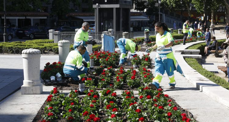 Plantación de flores de la temporada primavera-verano en la plaza de Oriente