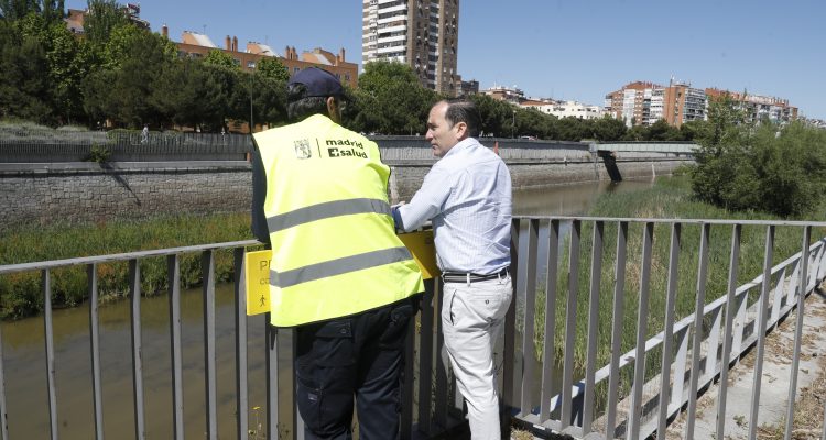 Carabante supervisa las actuaciones contra la mosca negra en el río Manzanares