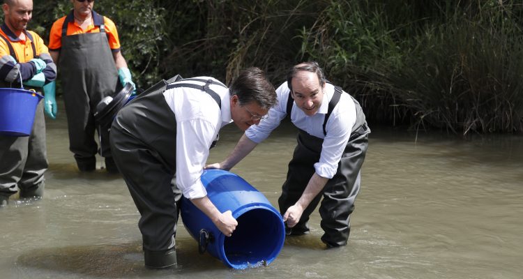 El delegado del Área, Borja Carabante, y el concejal delegado de Limpieza y Zonas Verdes y concejal de Fuencarral-El Pardo, José Antonio Martínez Páramo, en la suelta de cuatro especies en el río Manzanares