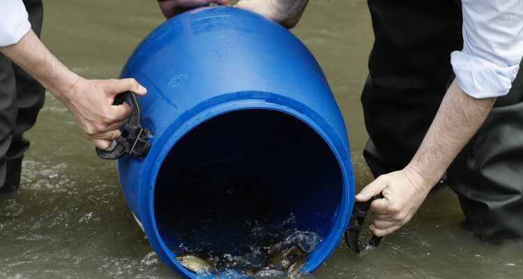 El delegado del Área, Borja Carabante, y el concejal delegado de Limpieza y Zonas Verdes y concejal de Fuencarral-El Pardo, José Antonio Martínez Páramo, en la suelta de cuatro especies en el río Manzanares