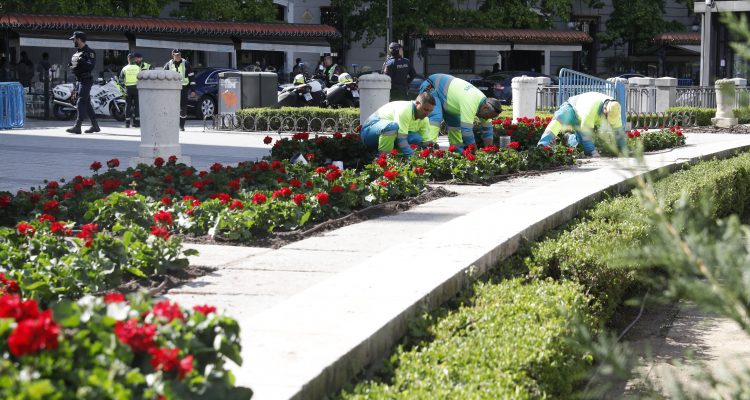 Plantación de flores de la temporada primavera-verano en la plaza de Oriente