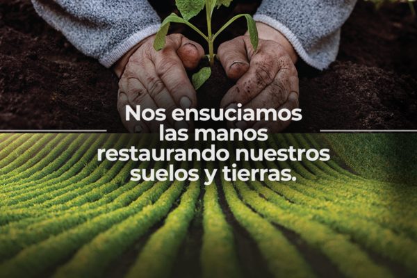 Cartel Día Mundial del Medio Ambiente