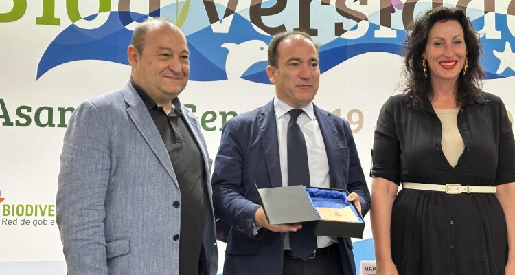 El delegado de Urbanismo, Medio Ambiente y Movilidad, Borja Carabante, durante la entrega de premios