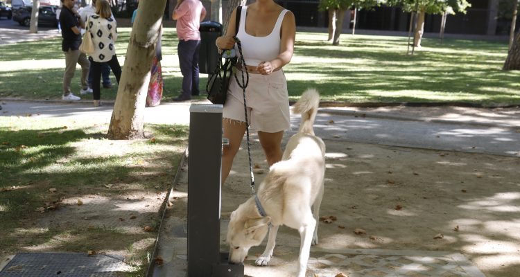 Joven acompaña a un perro a beber de una fuente